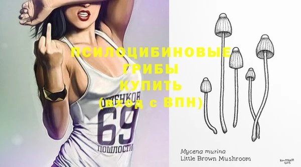спайс Абдулино
