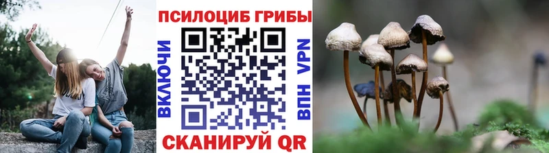 сколько стоит  Змеиногорск  Псилоцибиновые грибы мухоморы 